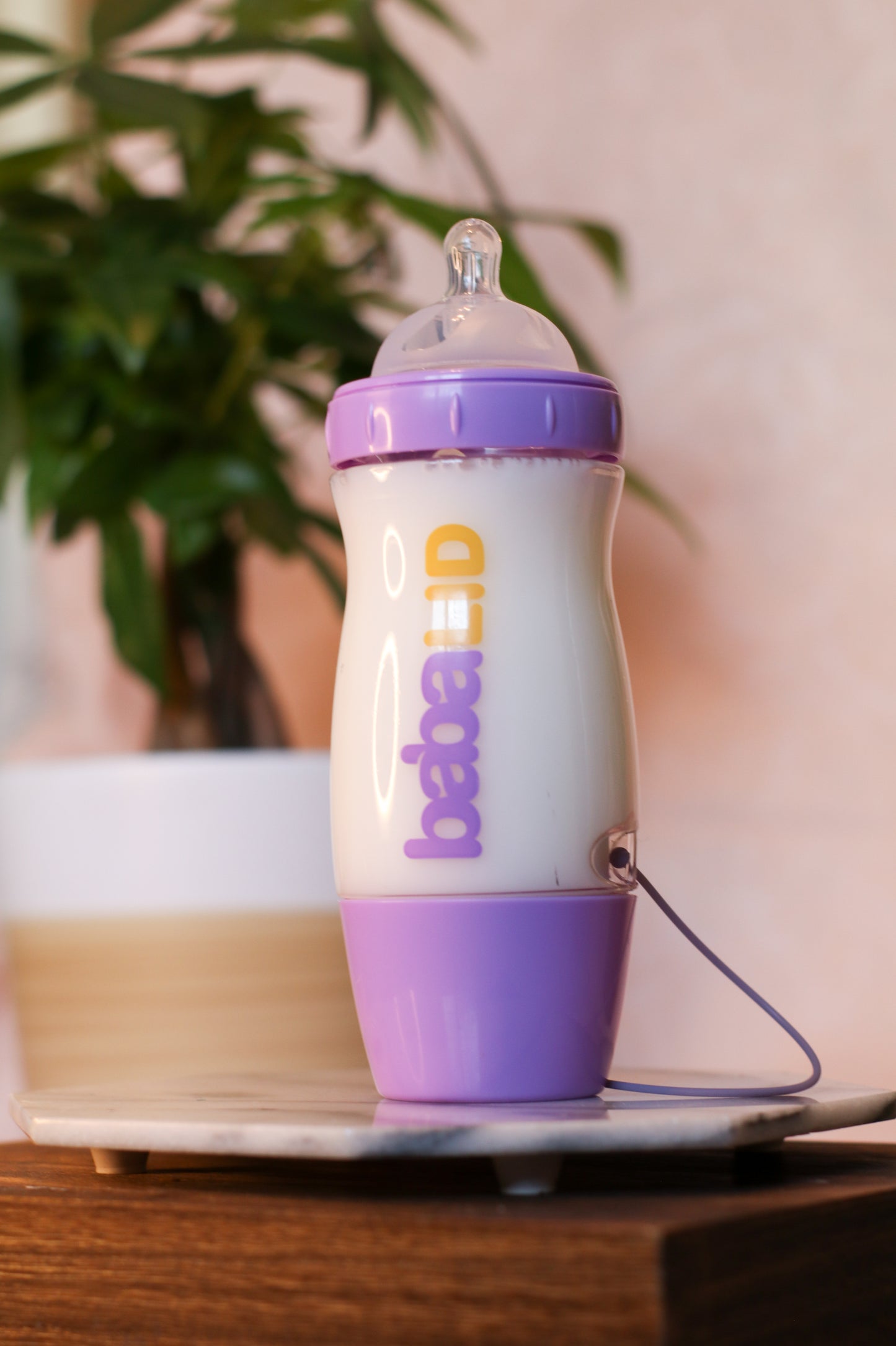 Baby bottle with purple cap and base on a surface with a plant in the background